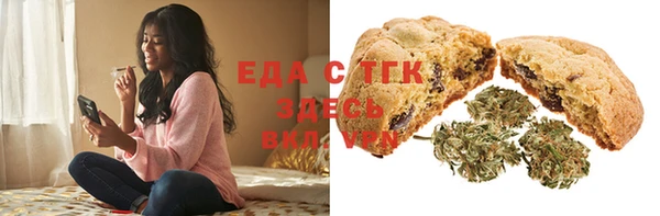 индика Кинешма