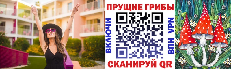 Галлюциногенные грибы Cubensis Заозёрный
